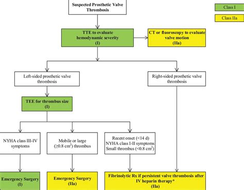 left ventricular thrombus chest guidelines.